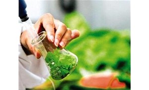 合肥食品檢測：重金屬元素中常見的元素有哪些？